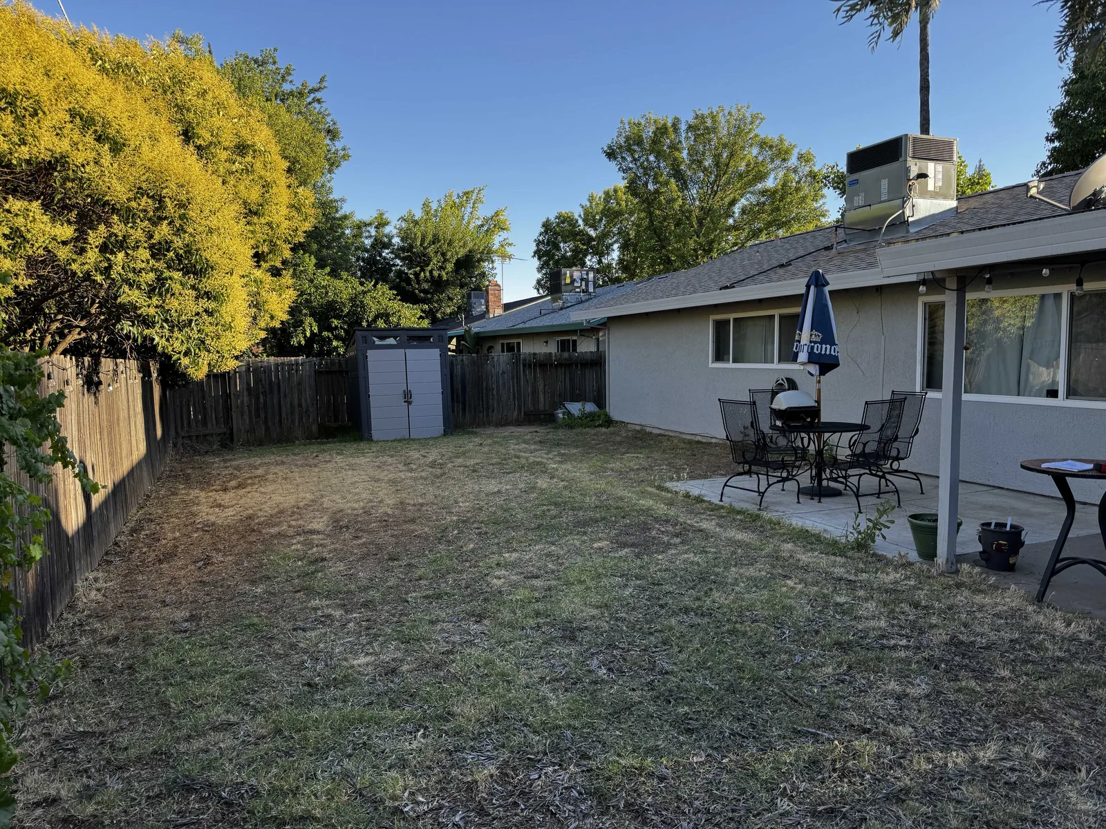 Backyard with a dead lawn and bare dirt before a remodel
