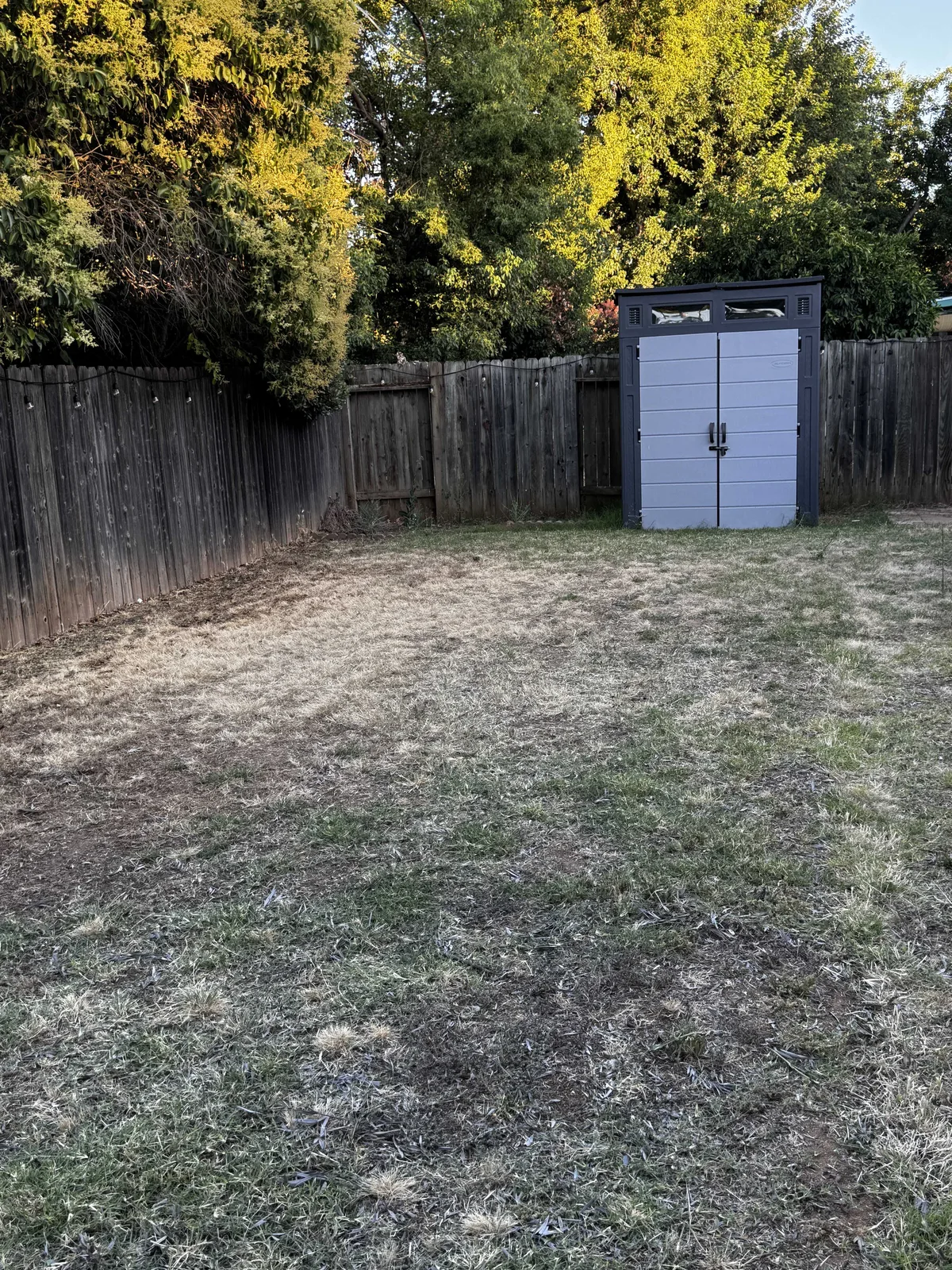 Dirt backyard with a storage shed before landscaping work begins